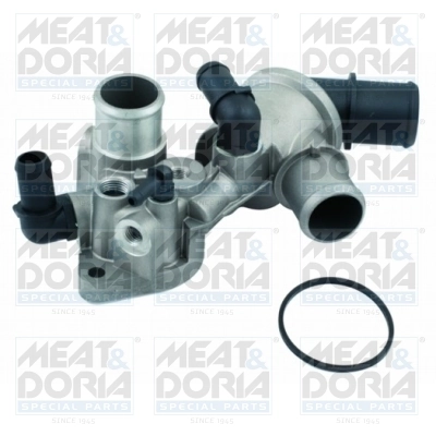 Thermostat, coolant